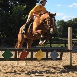 Meet your Posher, Allison